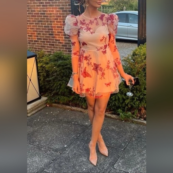 Elegant Sheer Floral Apricot Puff Sleeve Butterfly Printed Mini Dress - Size L - Picture 5 of 5